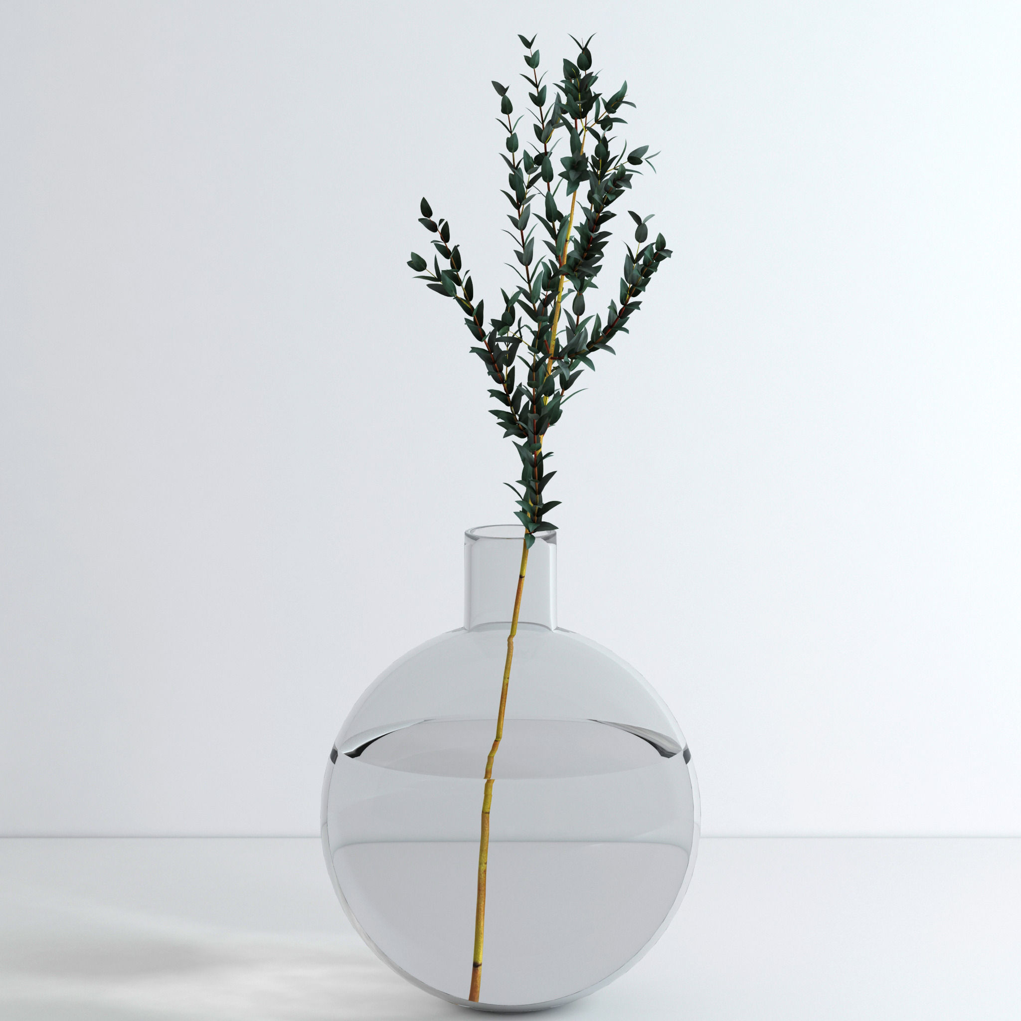 Eucalyptus Set leaves in glass vase 3D model_14