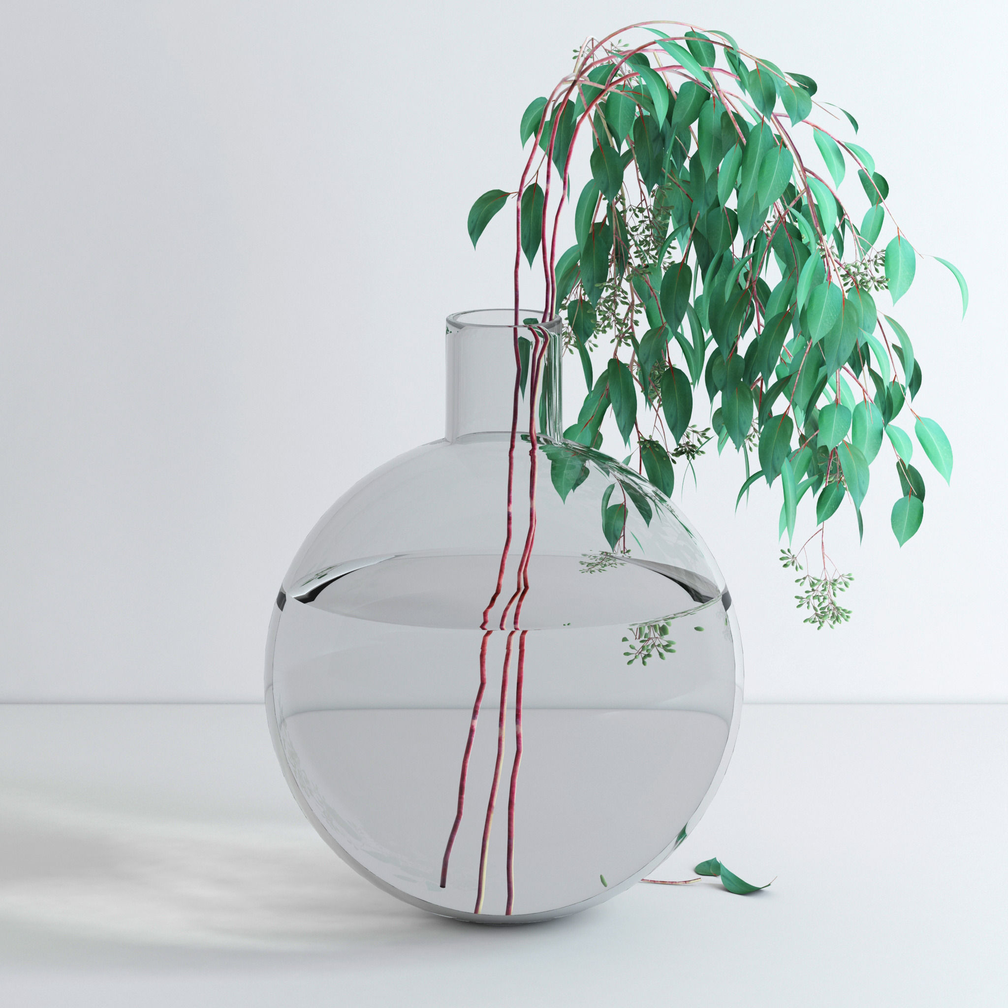 Eucalyptus Set leaves in glass vase 3D model_22