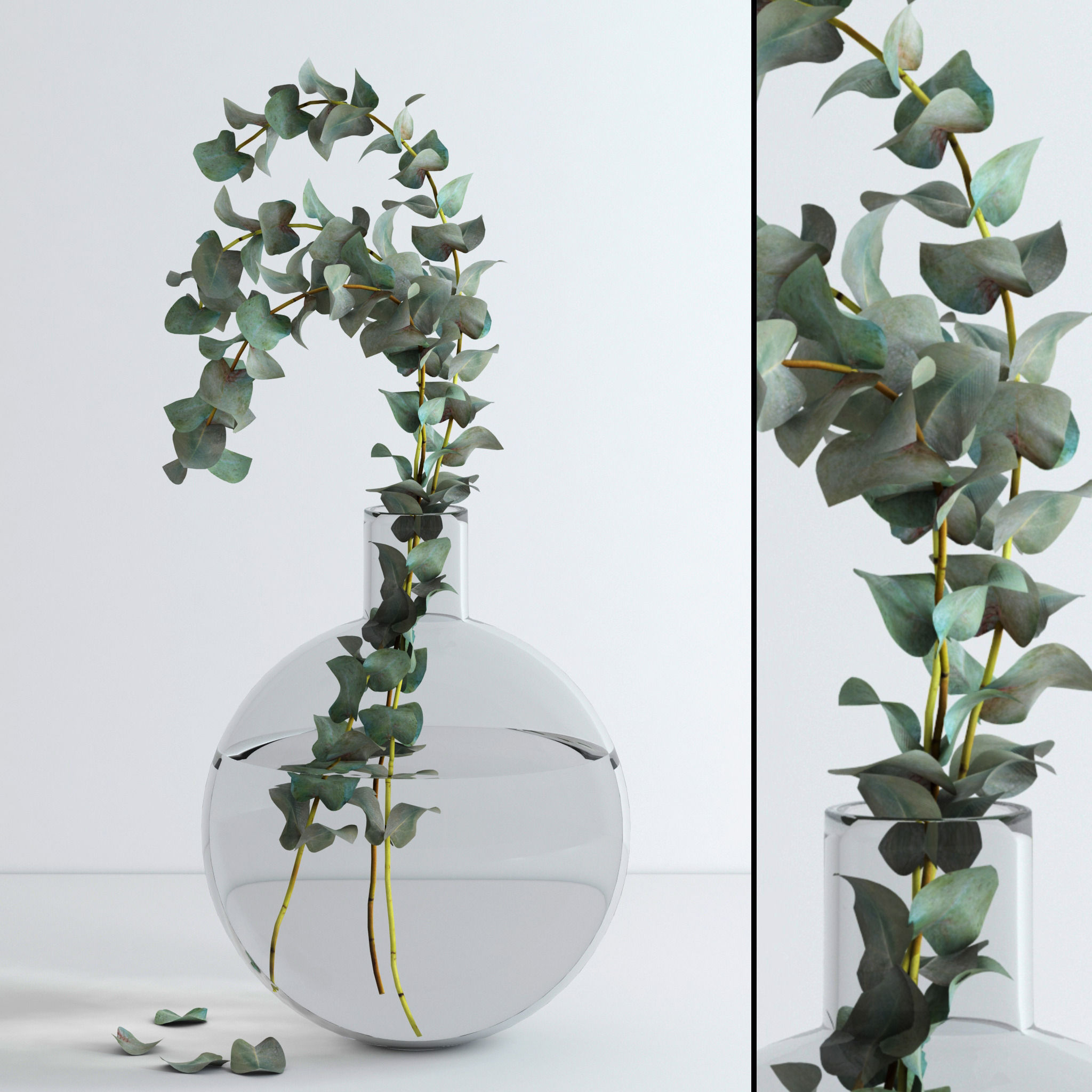 Eucalyptus Set leaves in glass vase 3D model_1