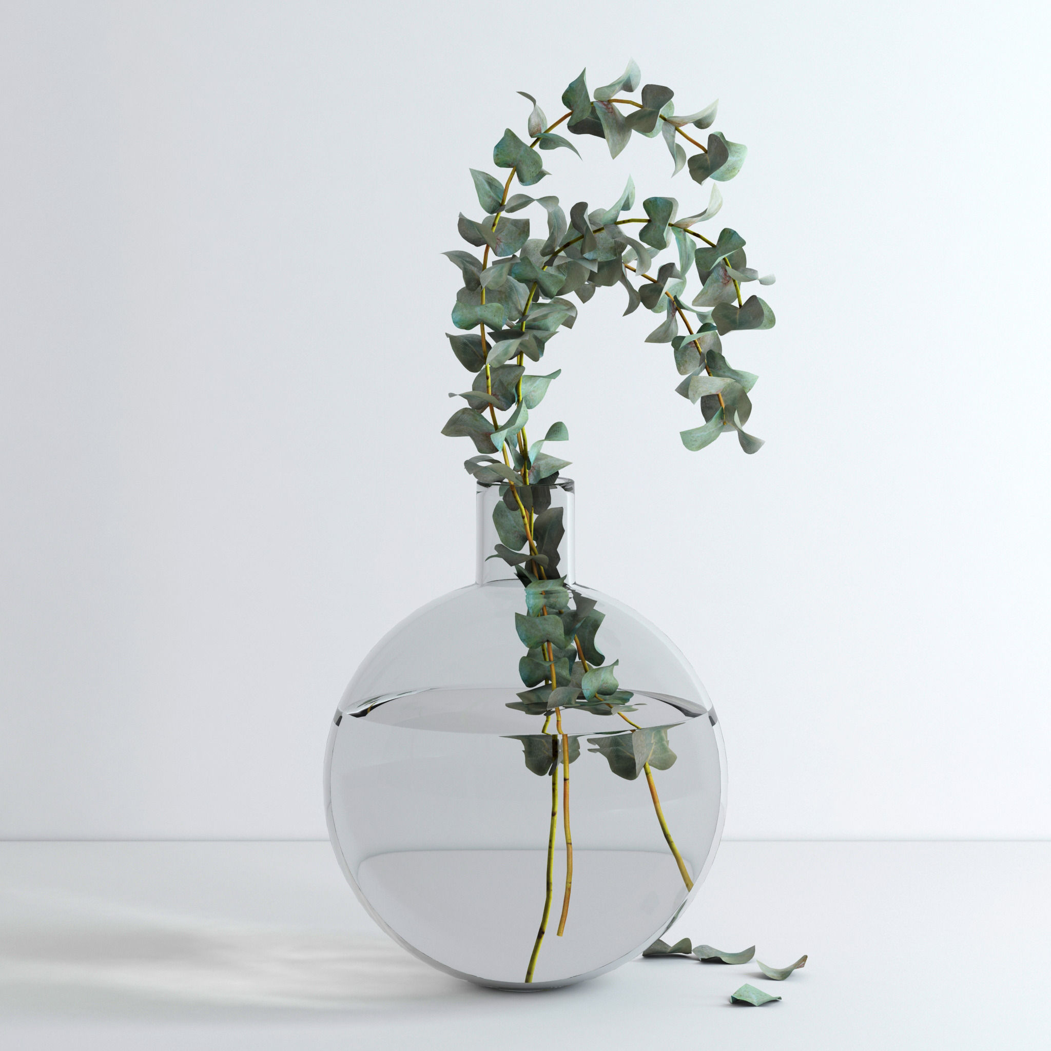 Eucalyptus Set leaves in glass vase 3D model_6