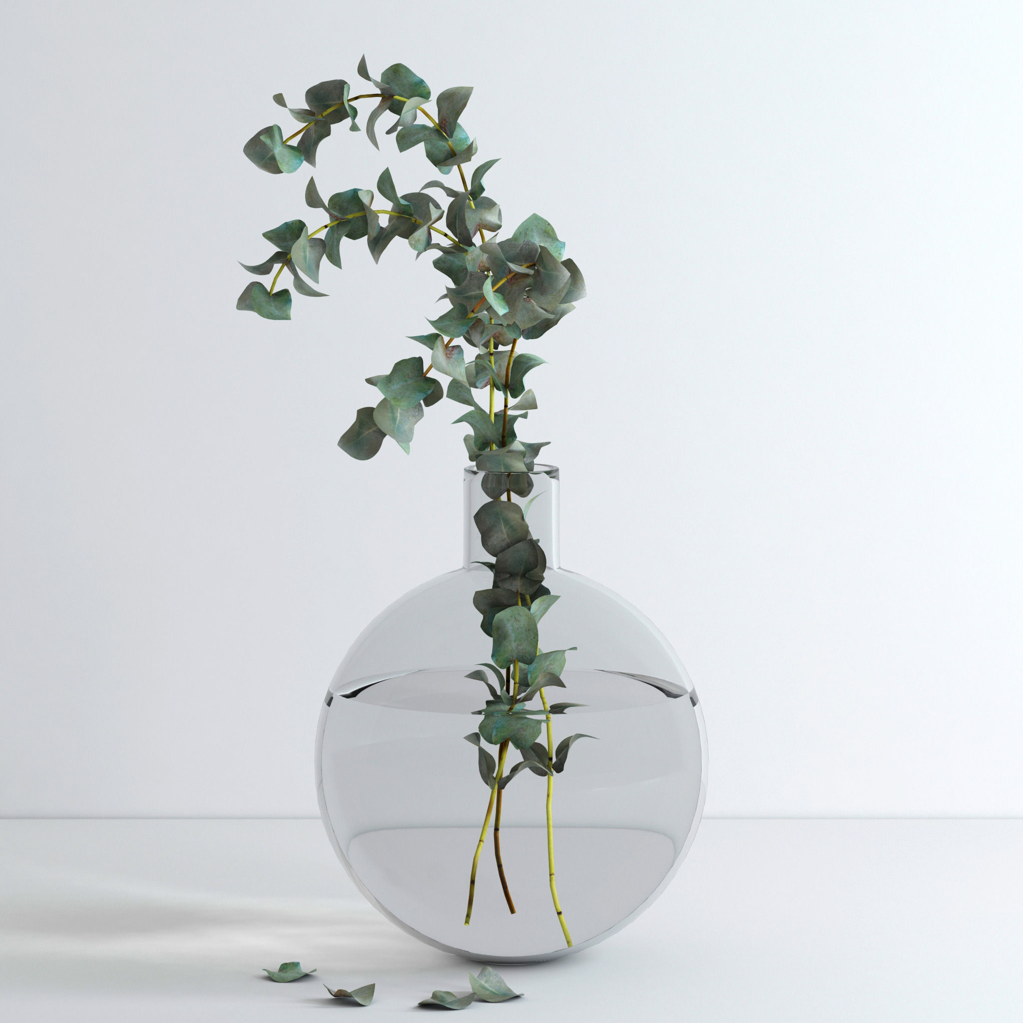 Eucalyptus Set leaves in glass vase 3D model_3