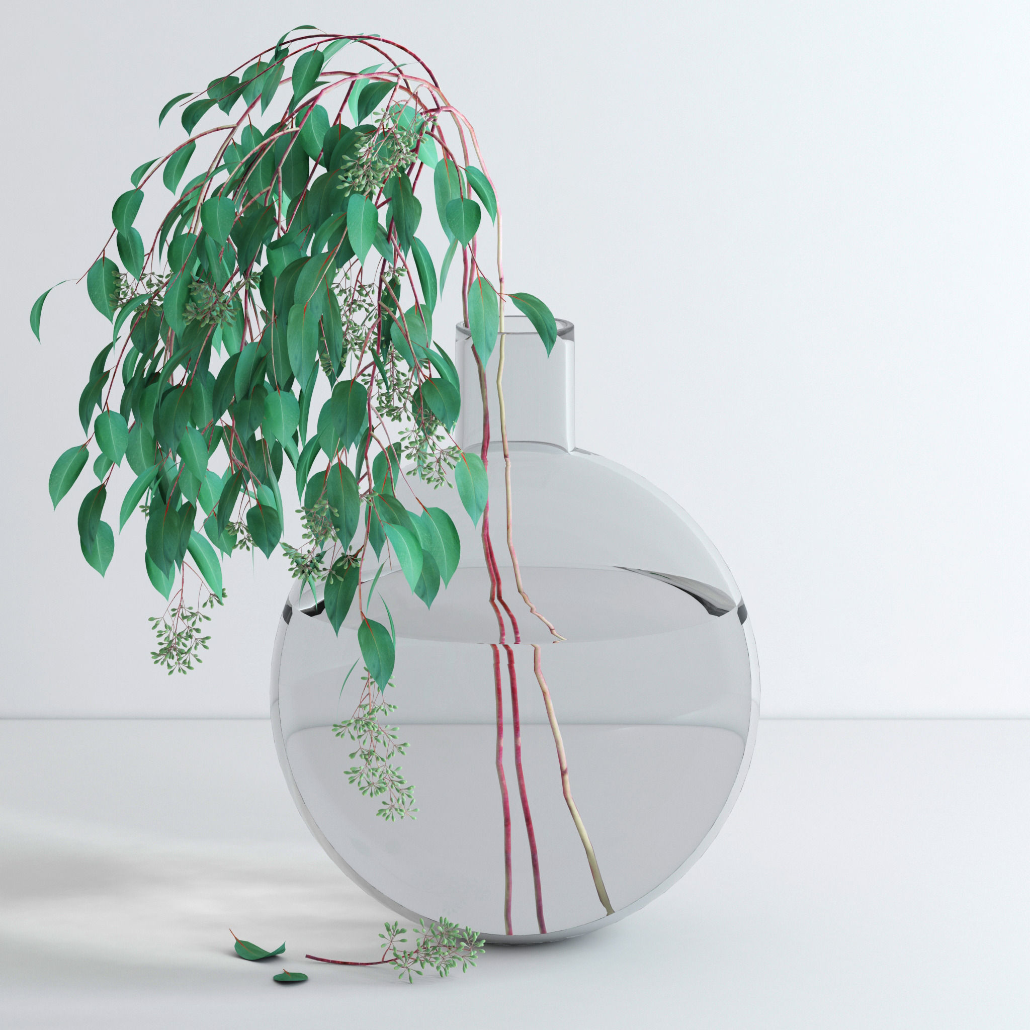 Eucalyptus Set leaves in glass vase 3D model_19