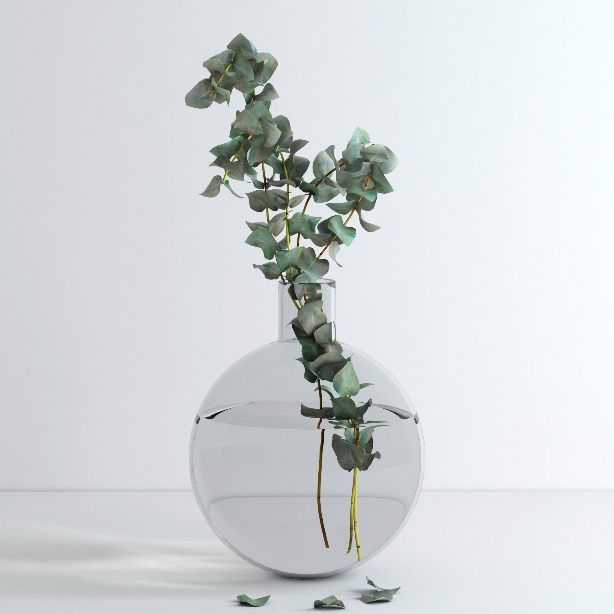Eucalyptus Set leaves in glass vase 3D model_5