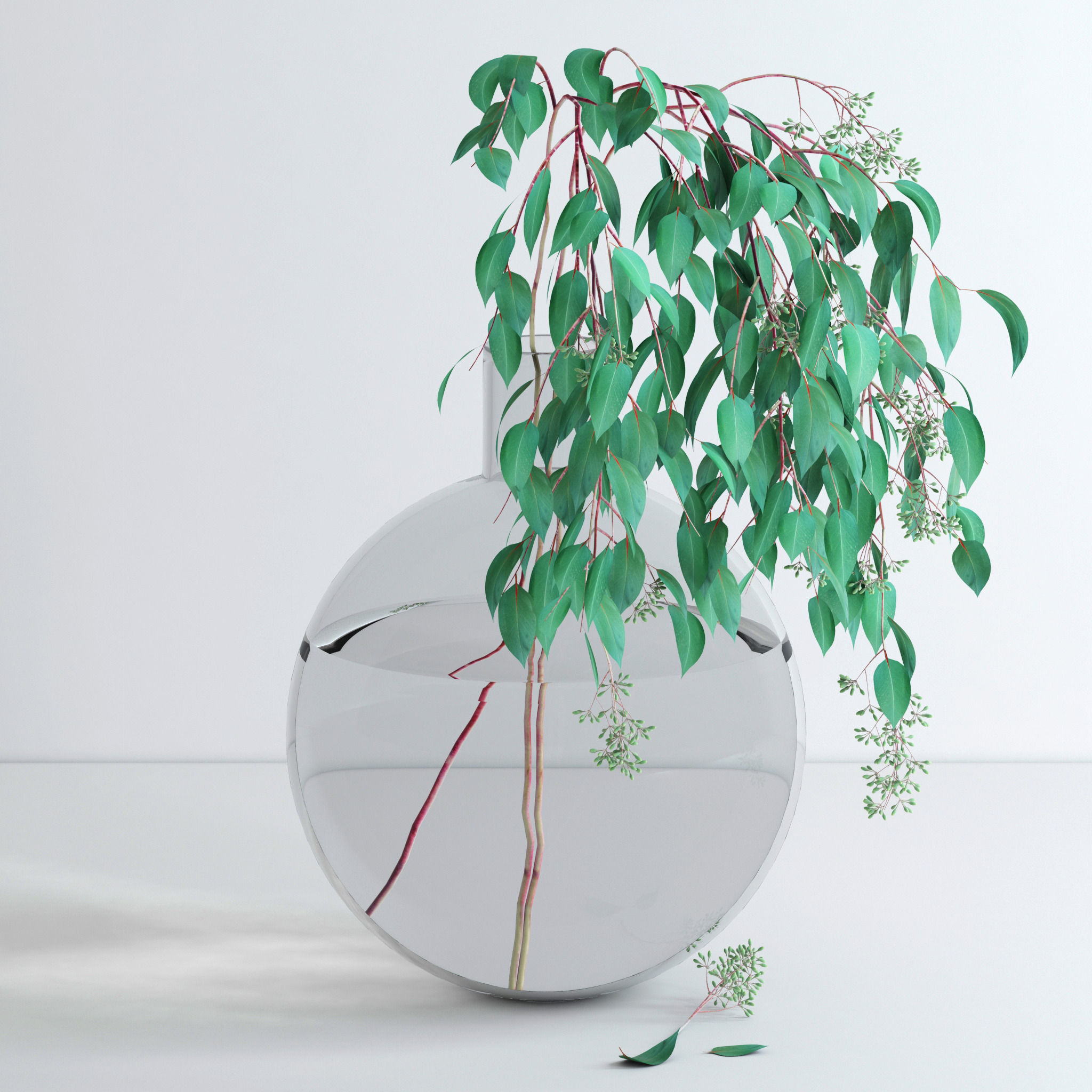 Eucalyptus Set leaves in glass vase 3D model_21