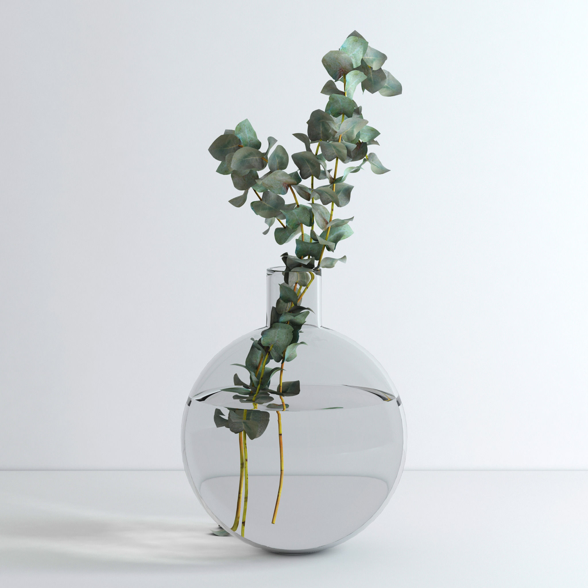 Eucalyptus Set leaves in glass vase 3D model_4