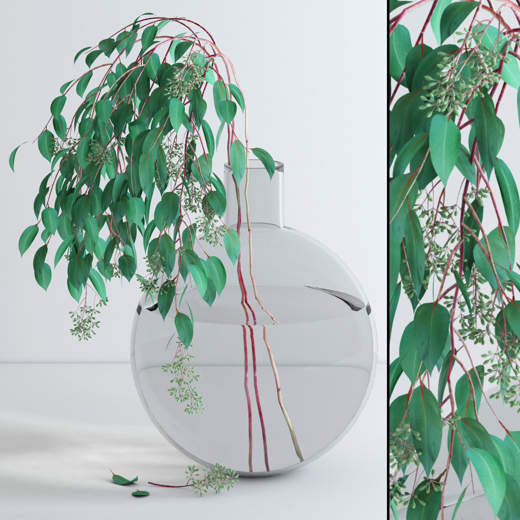Eucalyptus Set leaves in glass vase 3D model_18
