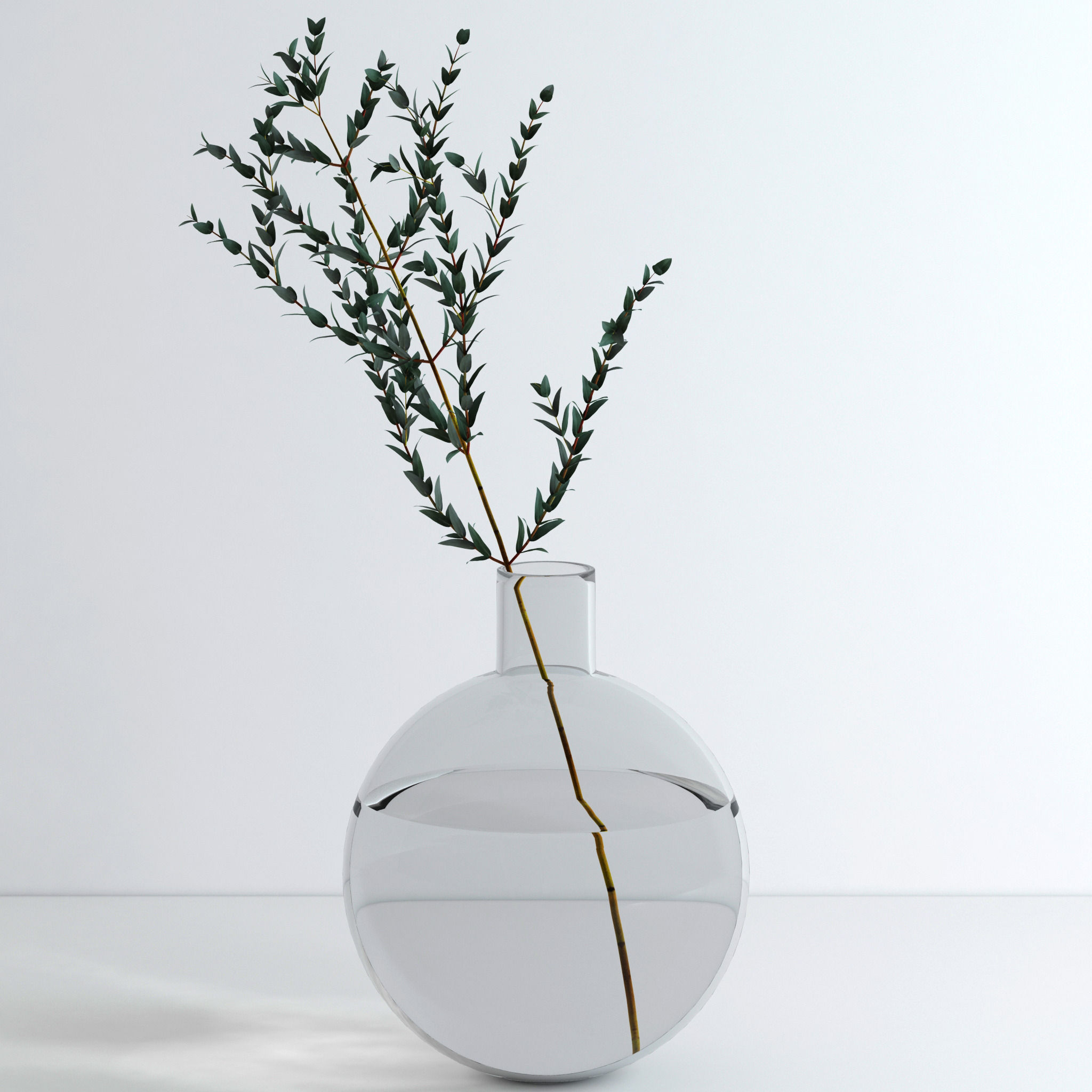 Eucalyptus Set leaves in glass vase 3D model_12