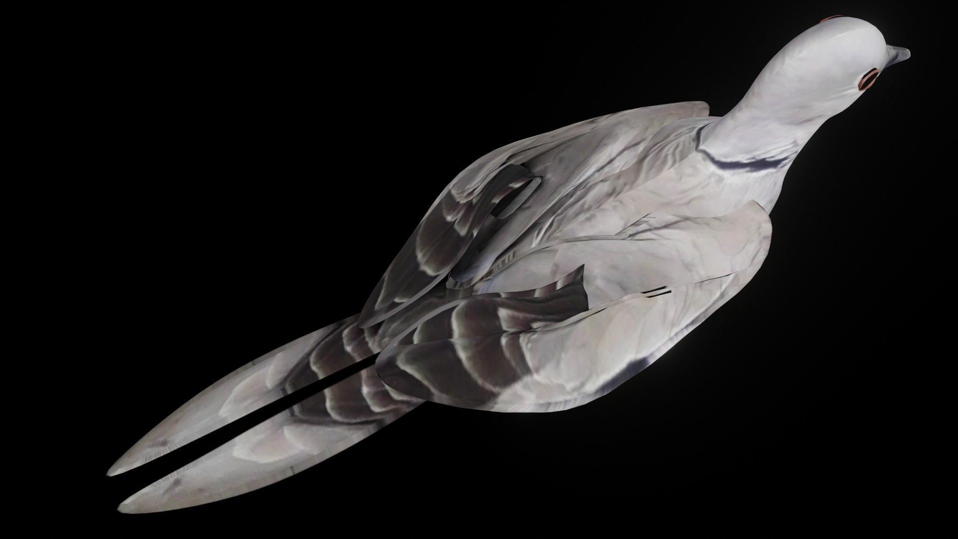 Fully Rigged Textured Animated Pigeon 3D model_3