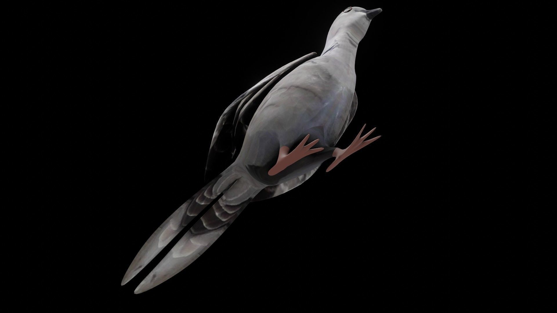 Fully Rigged Textured Animated Pigeon 3D model_2