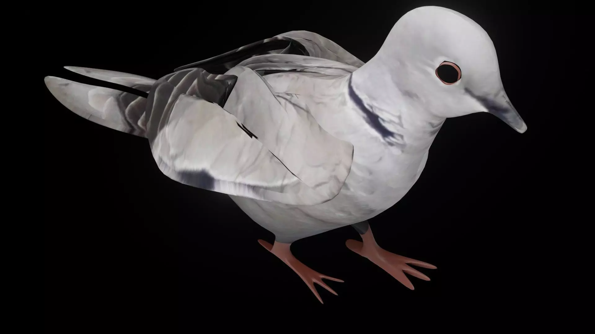 Fully Rigged Textured Animated Pigeon 3D model_0