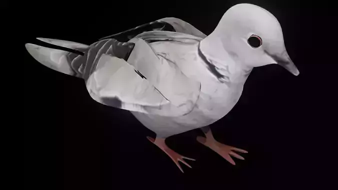 Fully Rigged Textured Animated Pigeon 3D model
