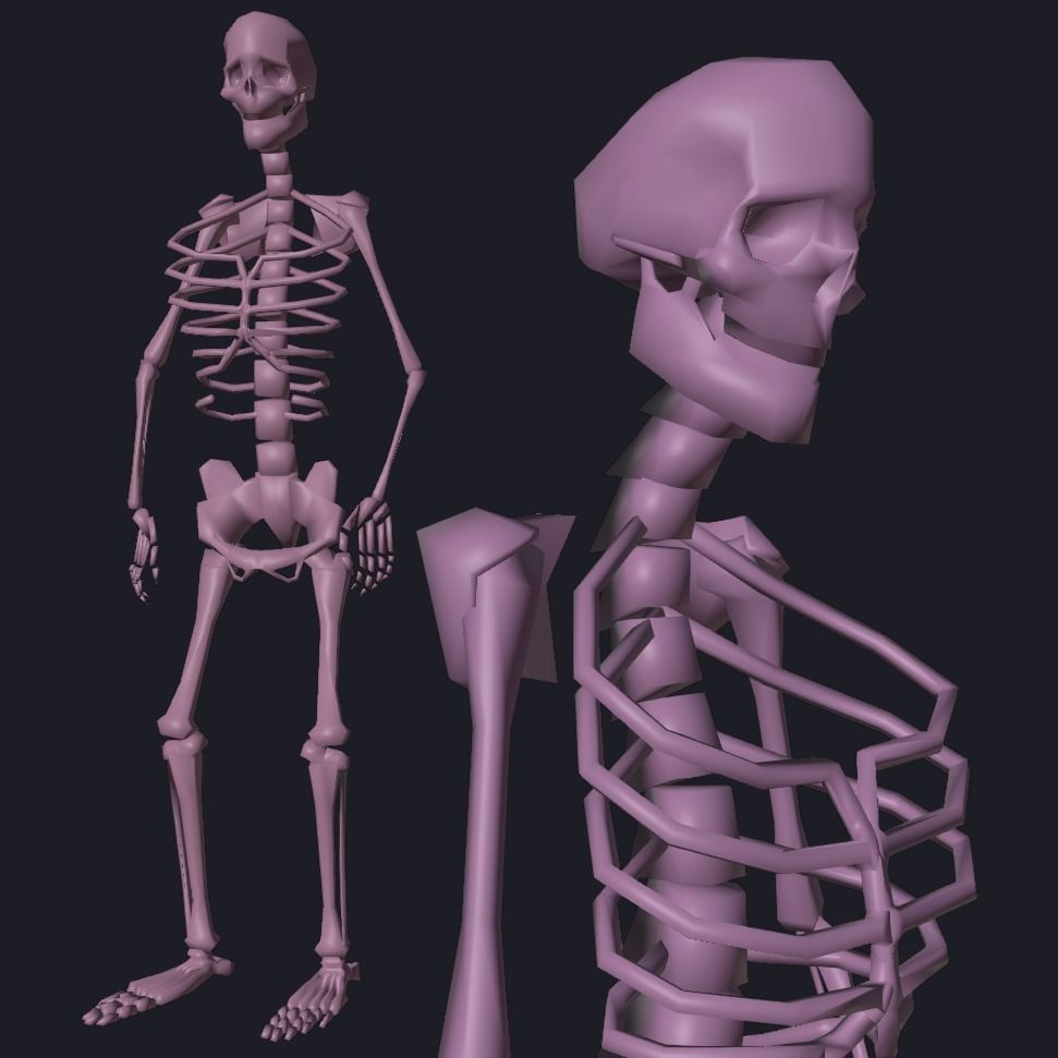 Rigged Human Skeleton Animated 3D model_8