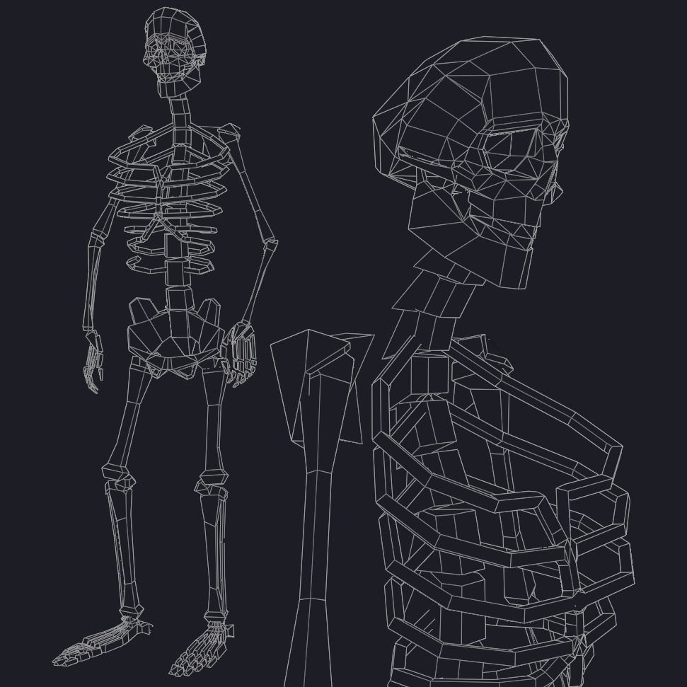 Rigged Human Skeleton Animated 3D model_6
