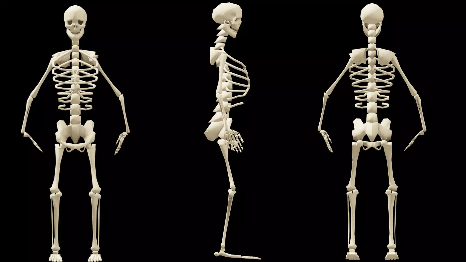 Rigged Human Skeleton Animated 3D model_0