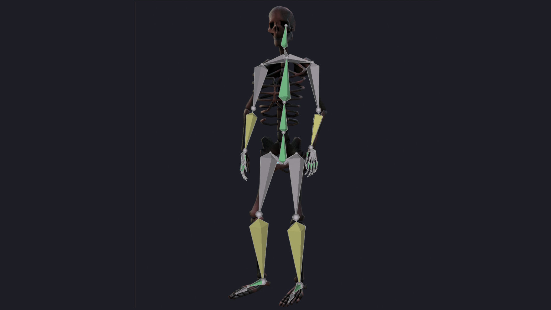Rigged Human Skeleton Animated 3D model_5