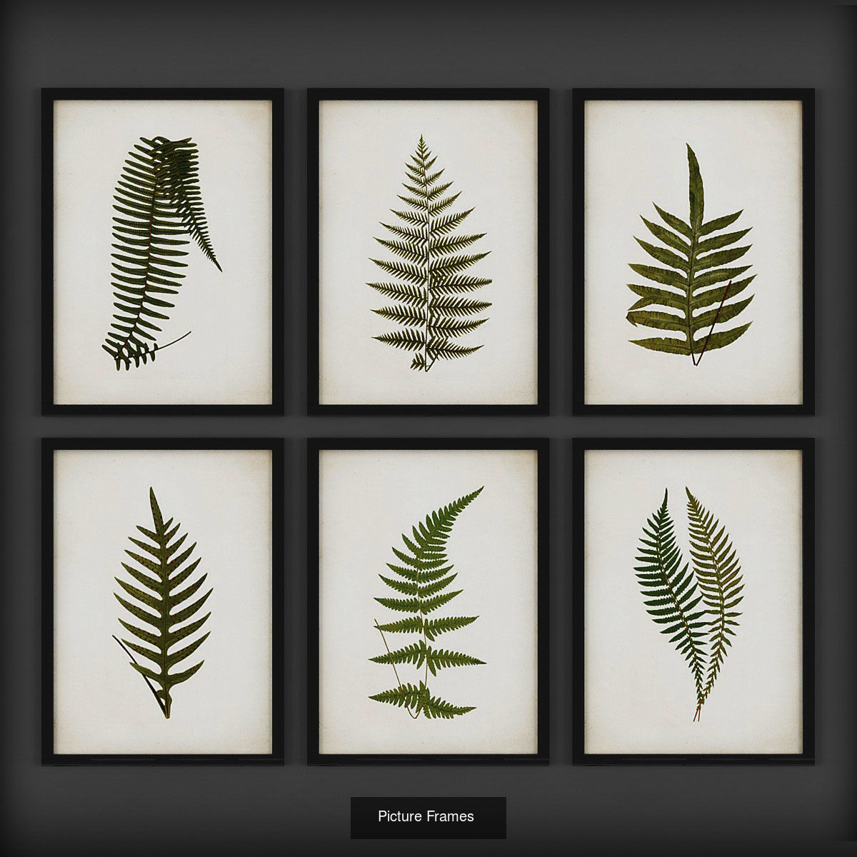 Collection of Picture Frames - 20 sets _6