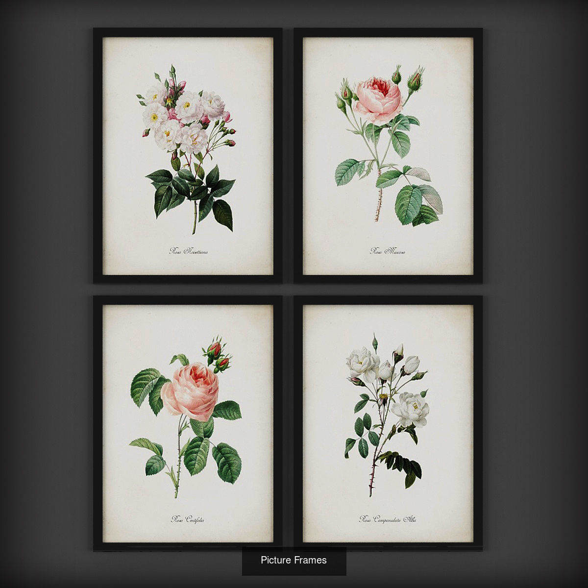 Collection of Picture Frames - 20 sets _10