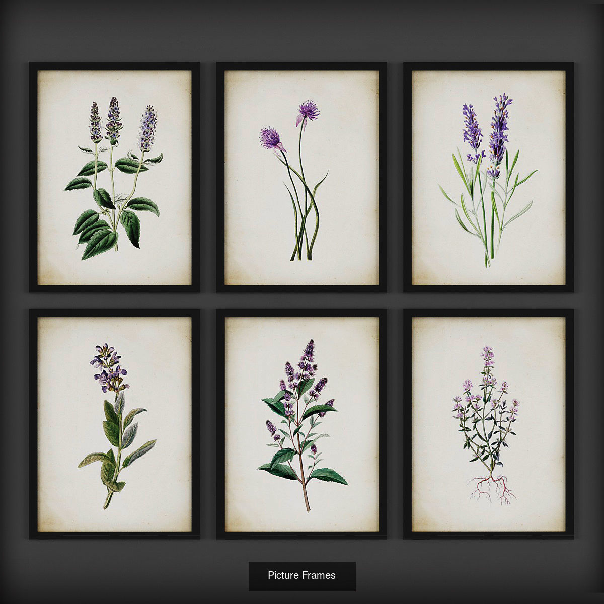 Collection of Picture Frames - 20 sets _7