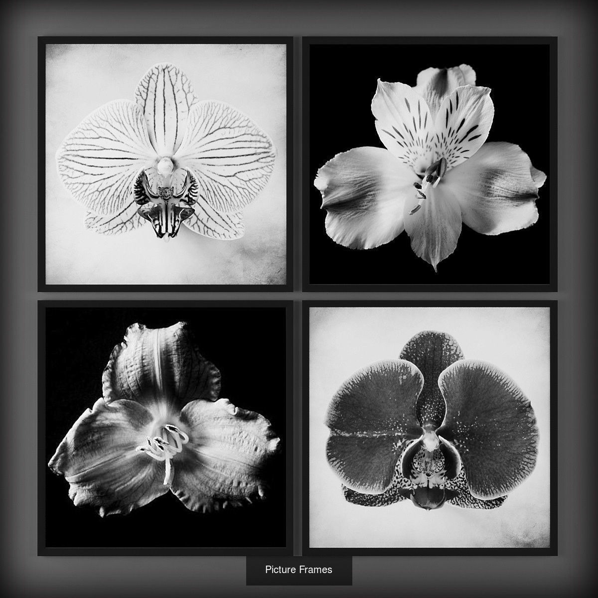 Collection of Picture Frames - 20 sets _11