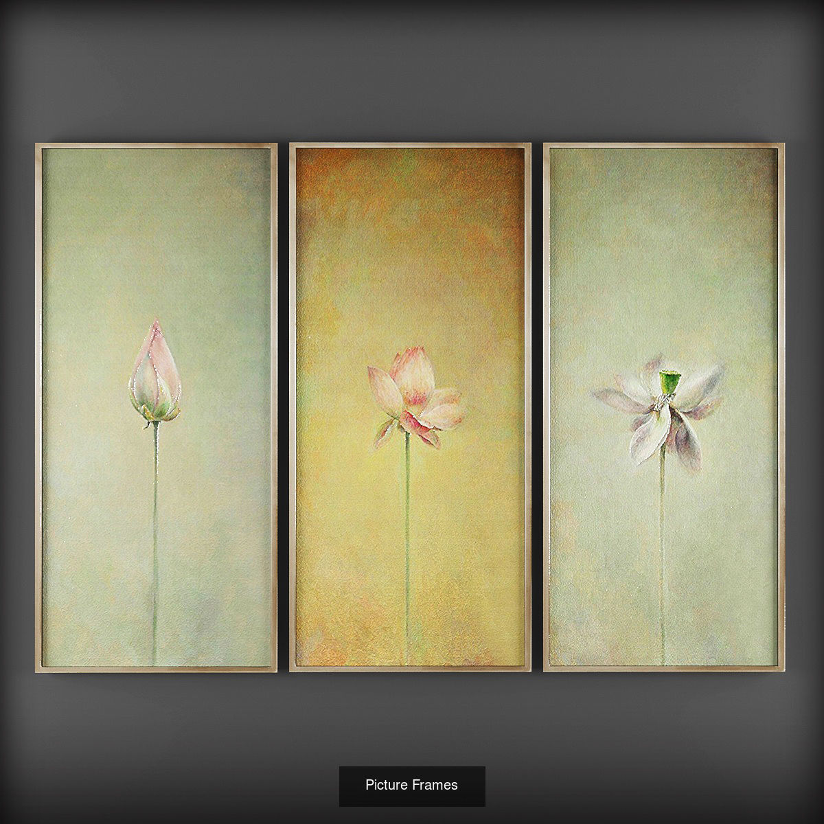 Collection of Picture Frames - 20 sets _14