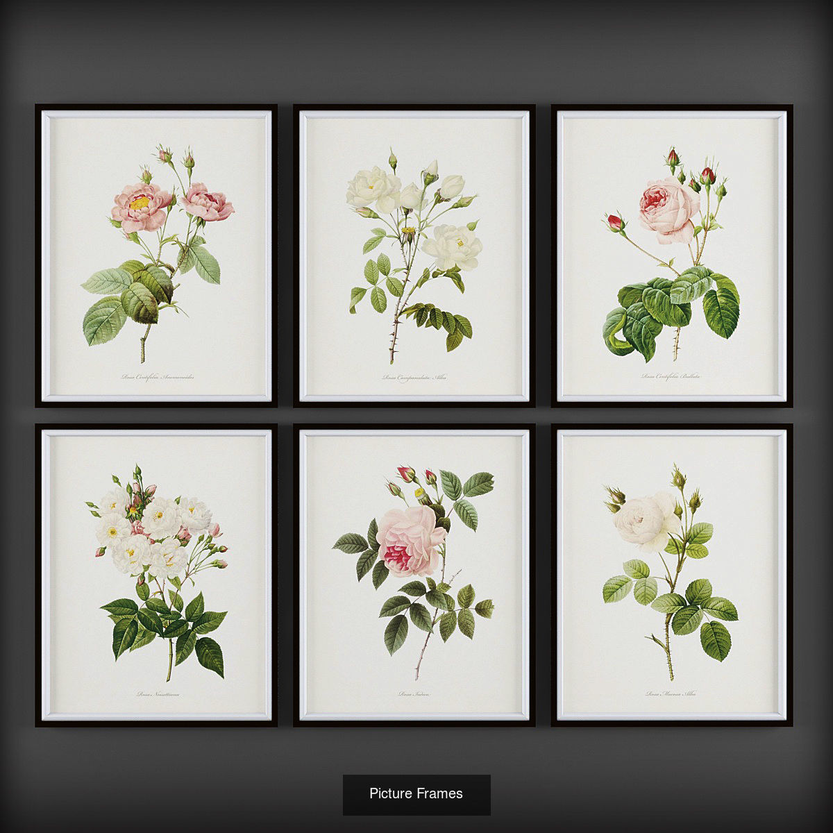 Collection of Picture Frames - 20 sets _20