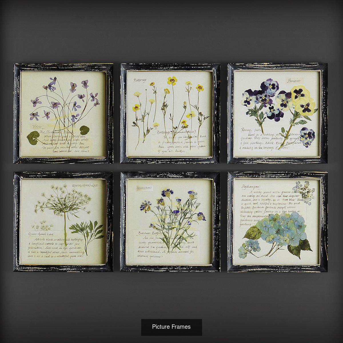 Collection of Picture Frames - 20 sets _13