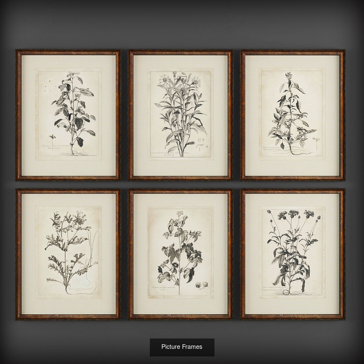 Collection of Picture Frames - 20 sets _19