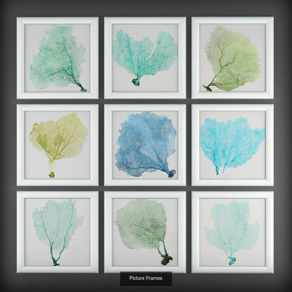 Collection of Picture Frames - 20 sets _14