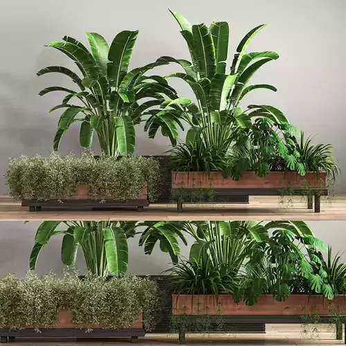 indoor plant set 17