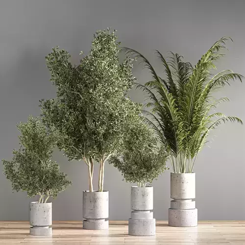 indoor plant set 19