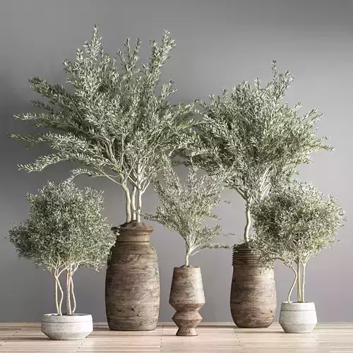 indoor plant set 23