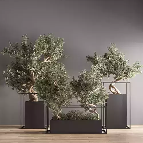 indoor plant bonsai set 24