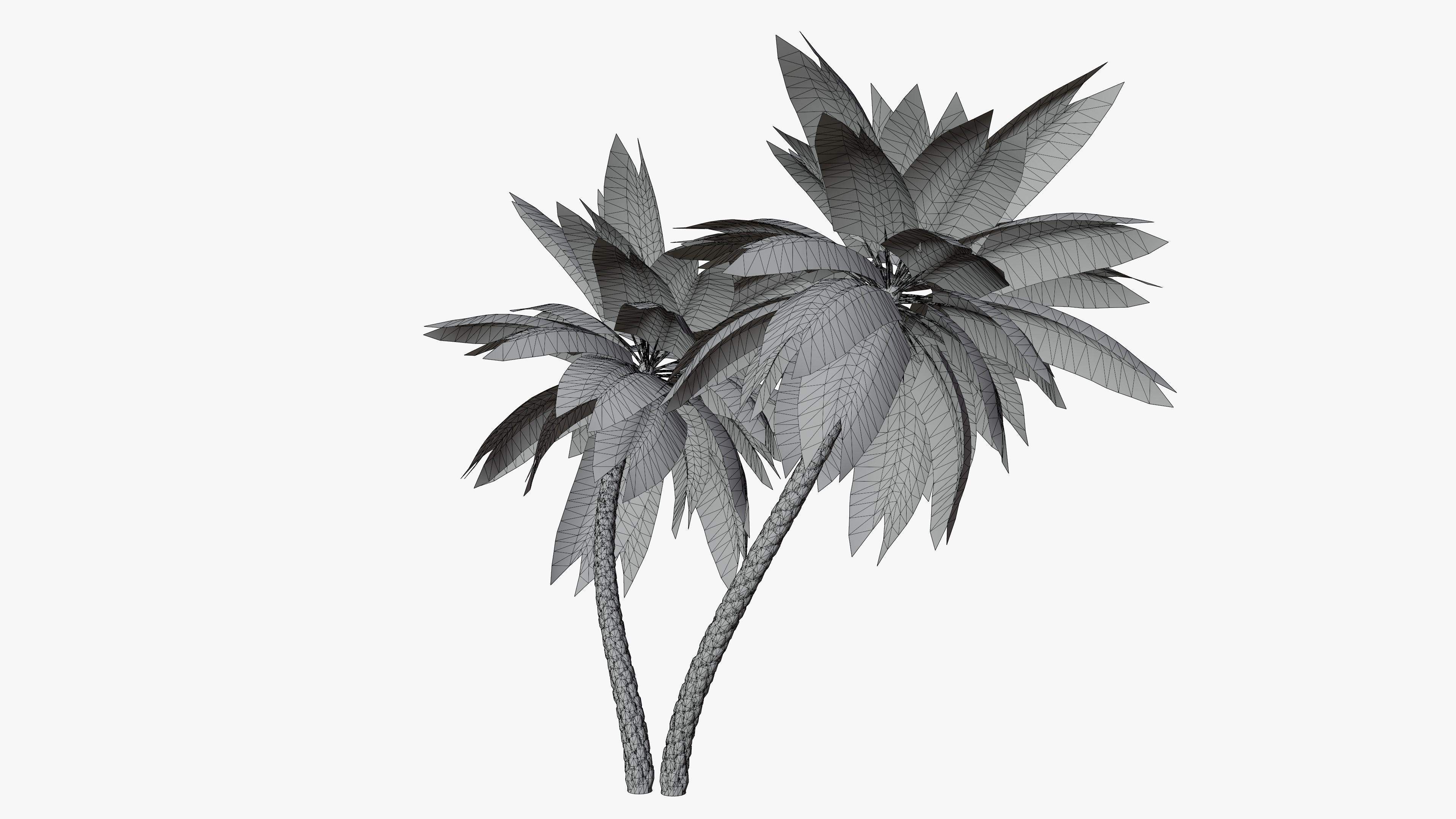 Date Palm v6 Low-poly 3D model_5