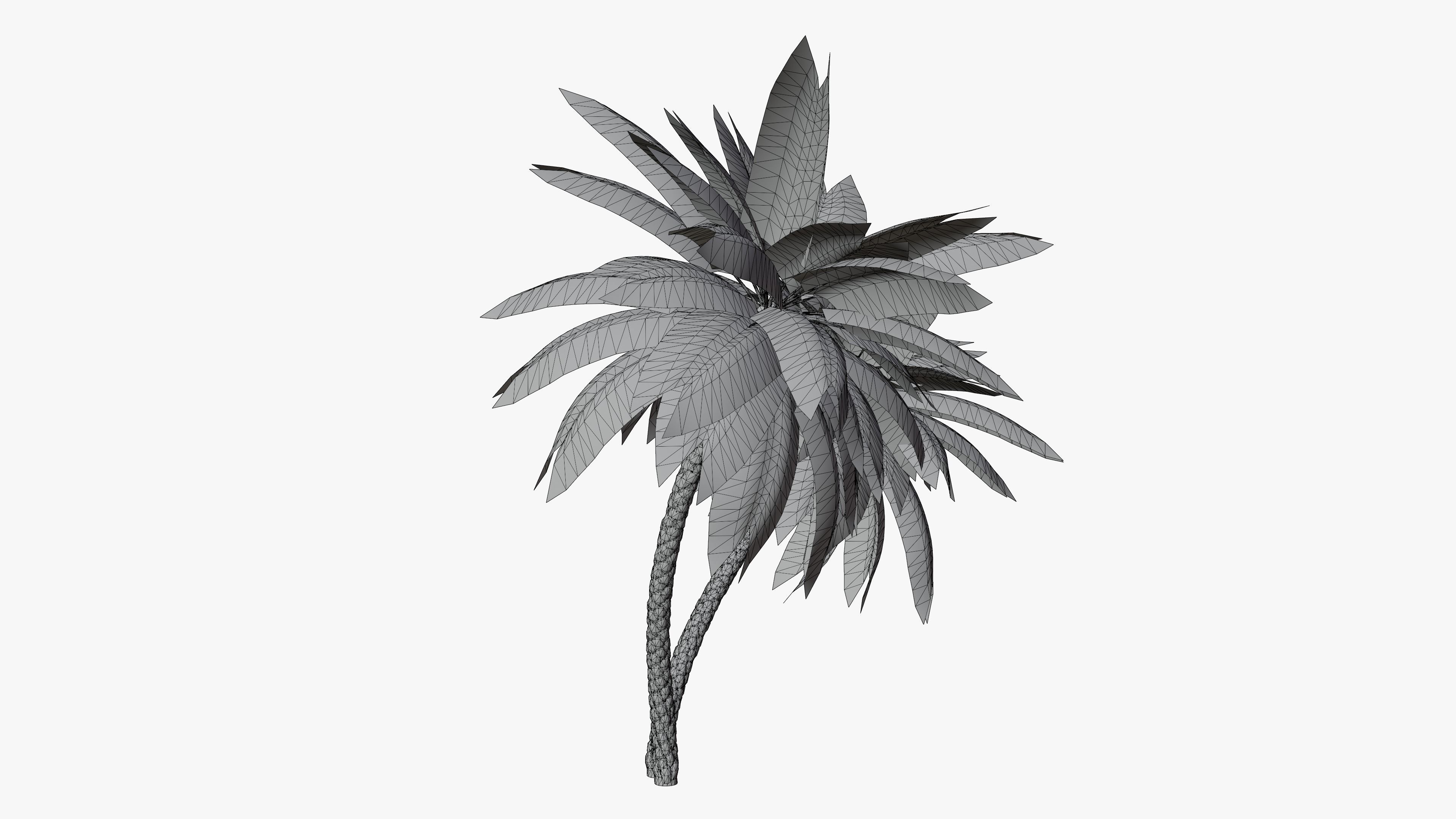 Date Palm v6 Low-poly 3D model_3