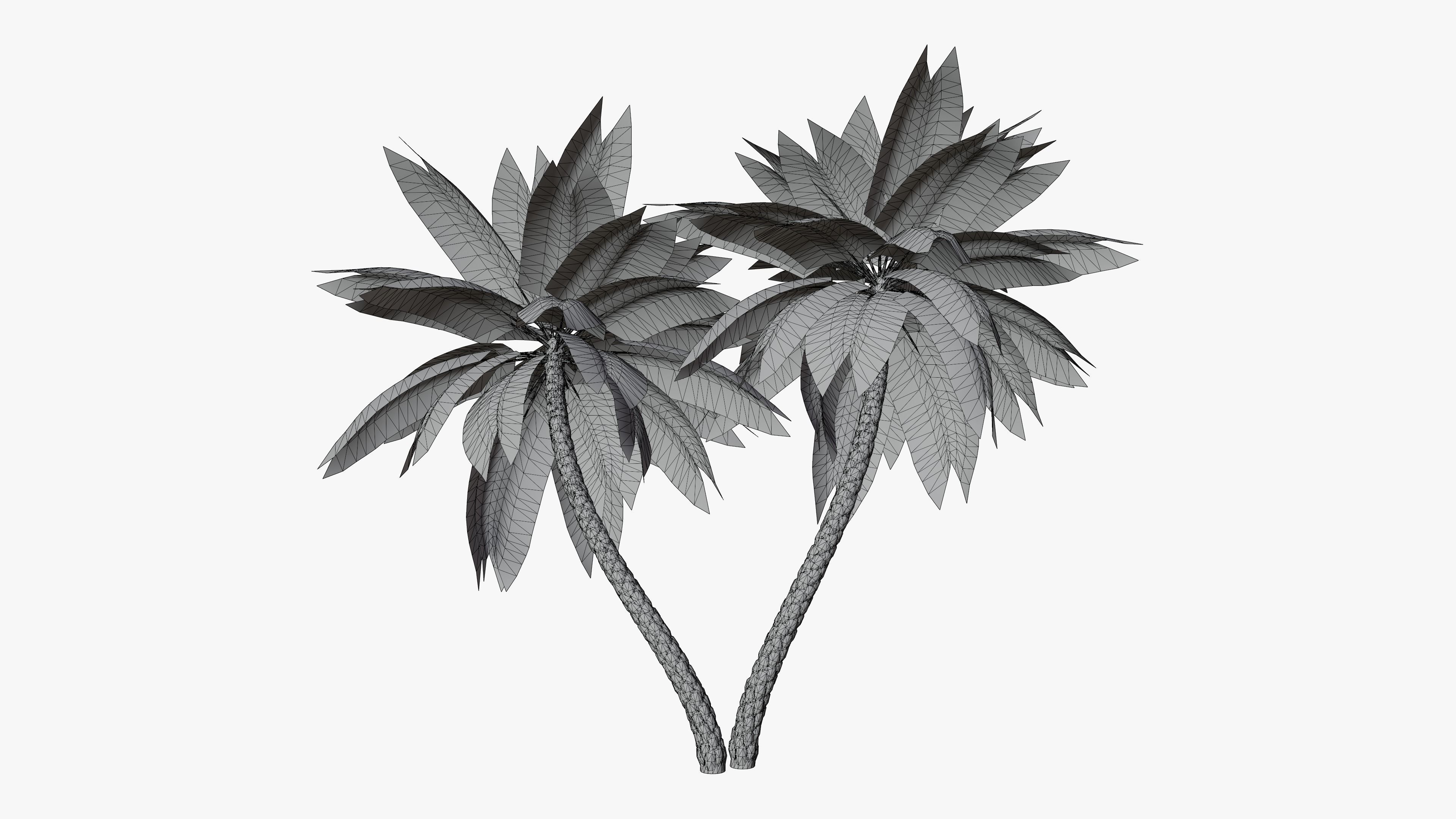 Date Palm v6 Low-poly 3D model_7