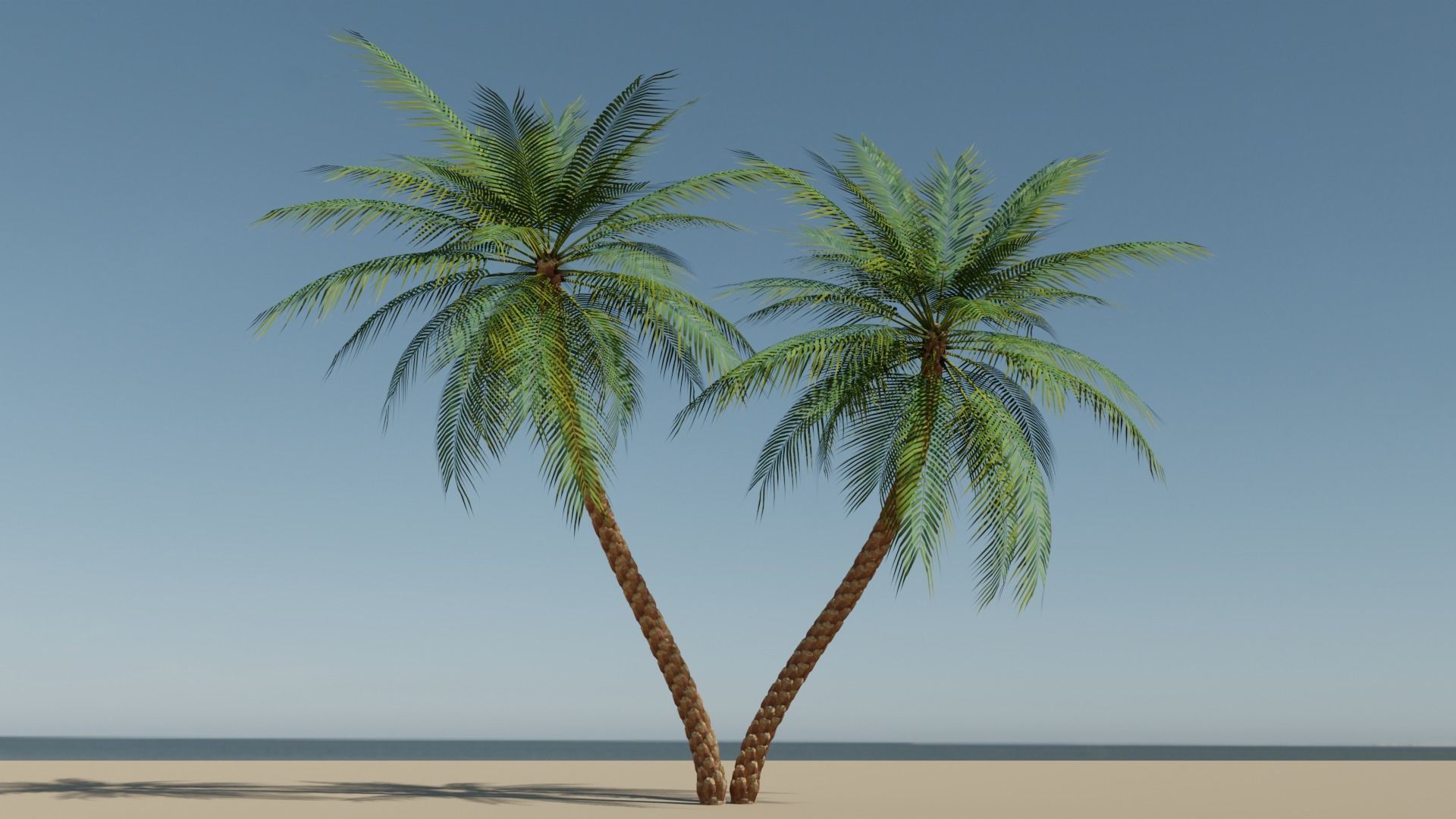 Date Palm v6 Low-poly 3D model_8