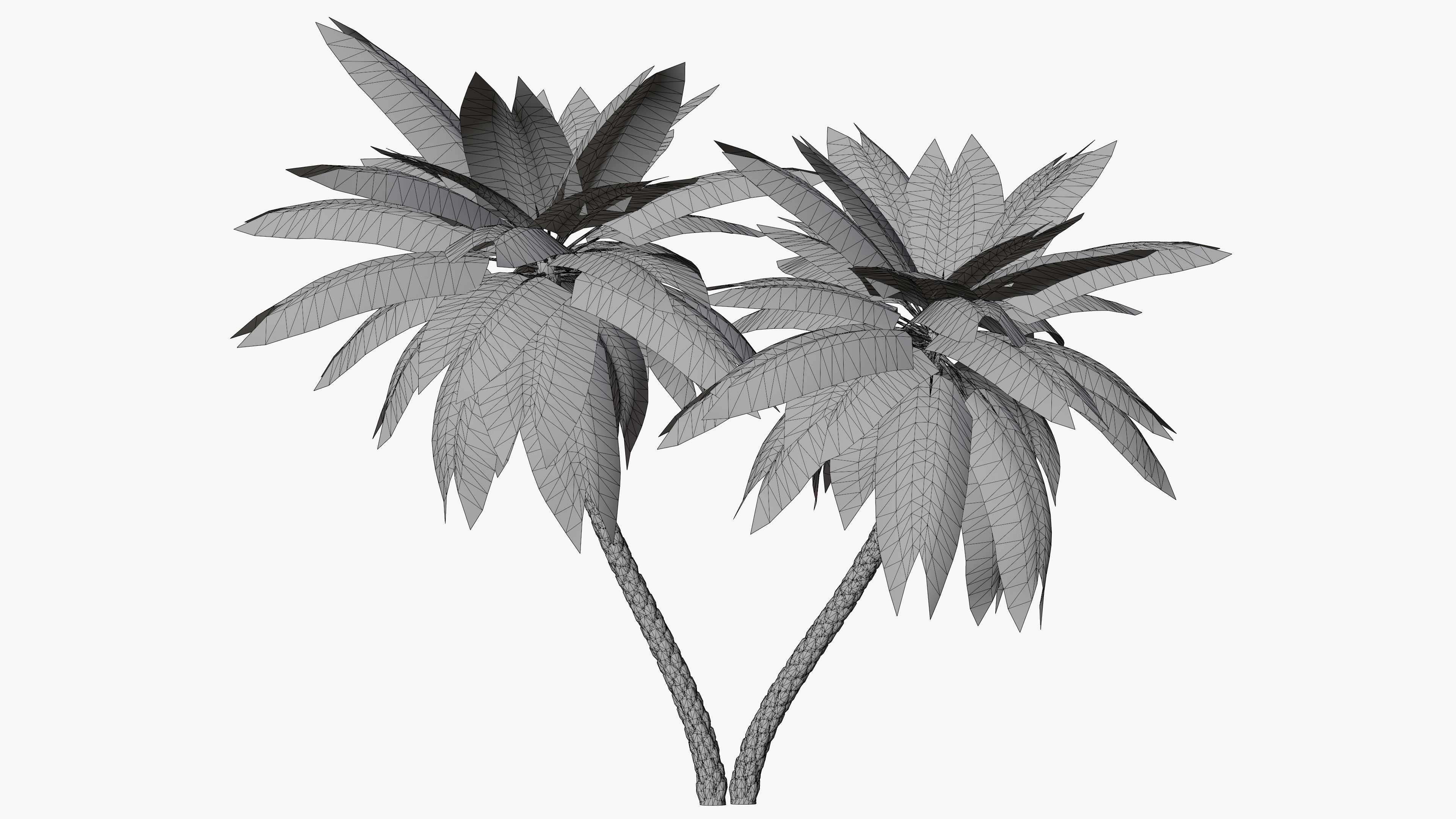 Date Palm v6 Low-poly 3D model_9