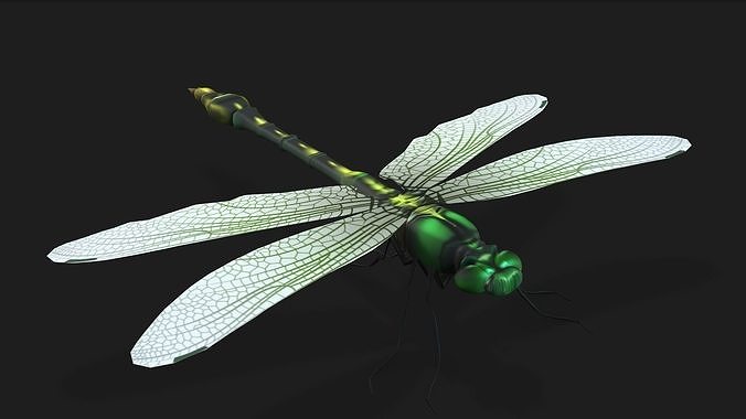 Foring dragonfly Low-poly 3D model