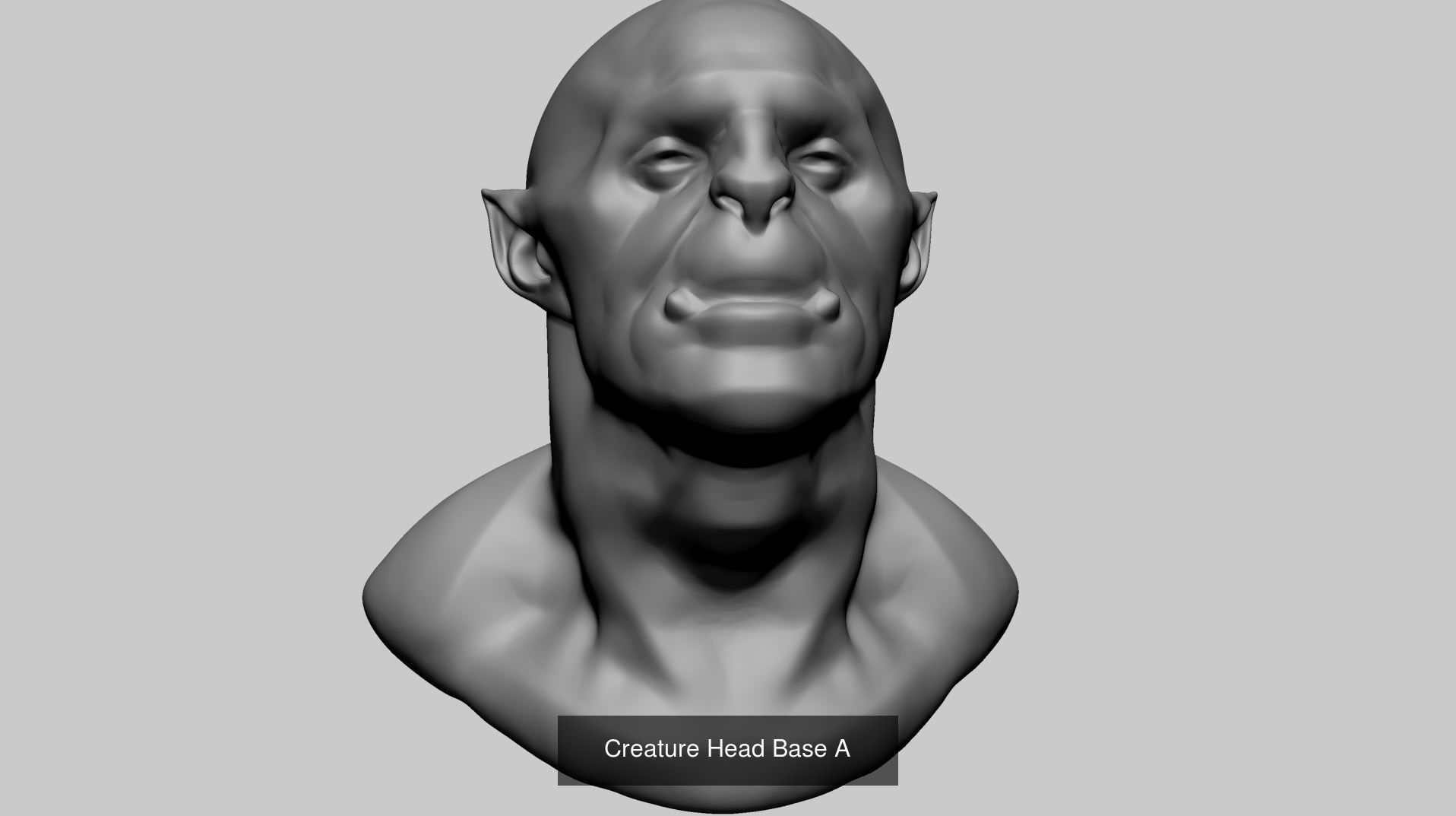 20 Head Models 3D Model Collection_4