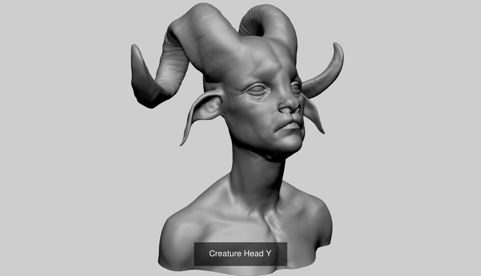 20 Head Models 3D Model Collection_17