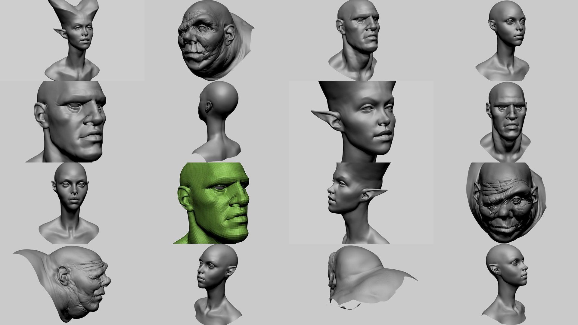 20 Head Models 3D Model Collection_1