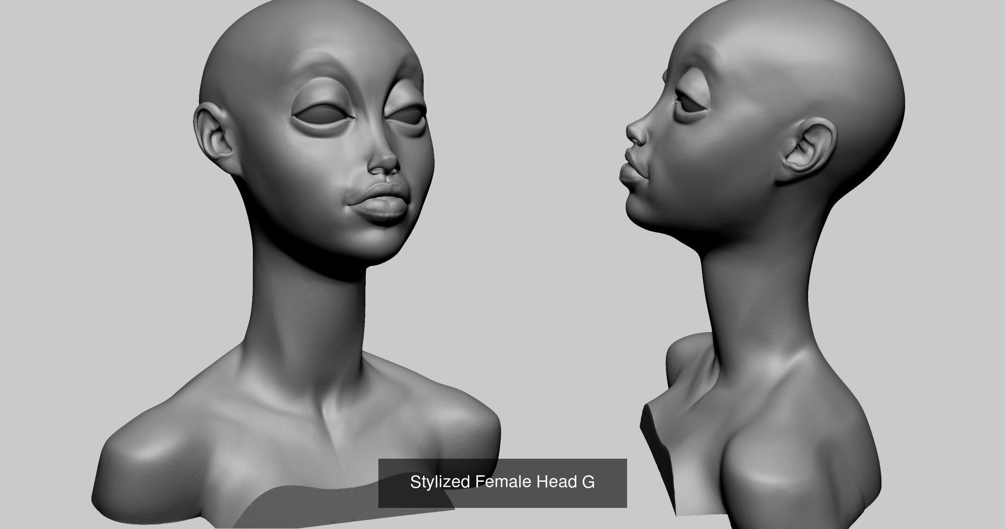 20 Head Models 3D Model Collection_18