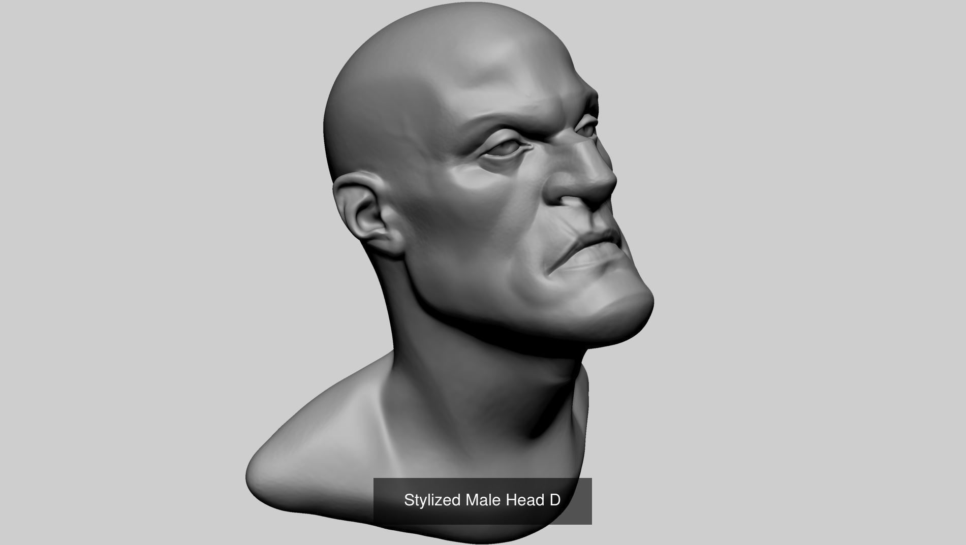 20 Head Models 3D Model Collection_10