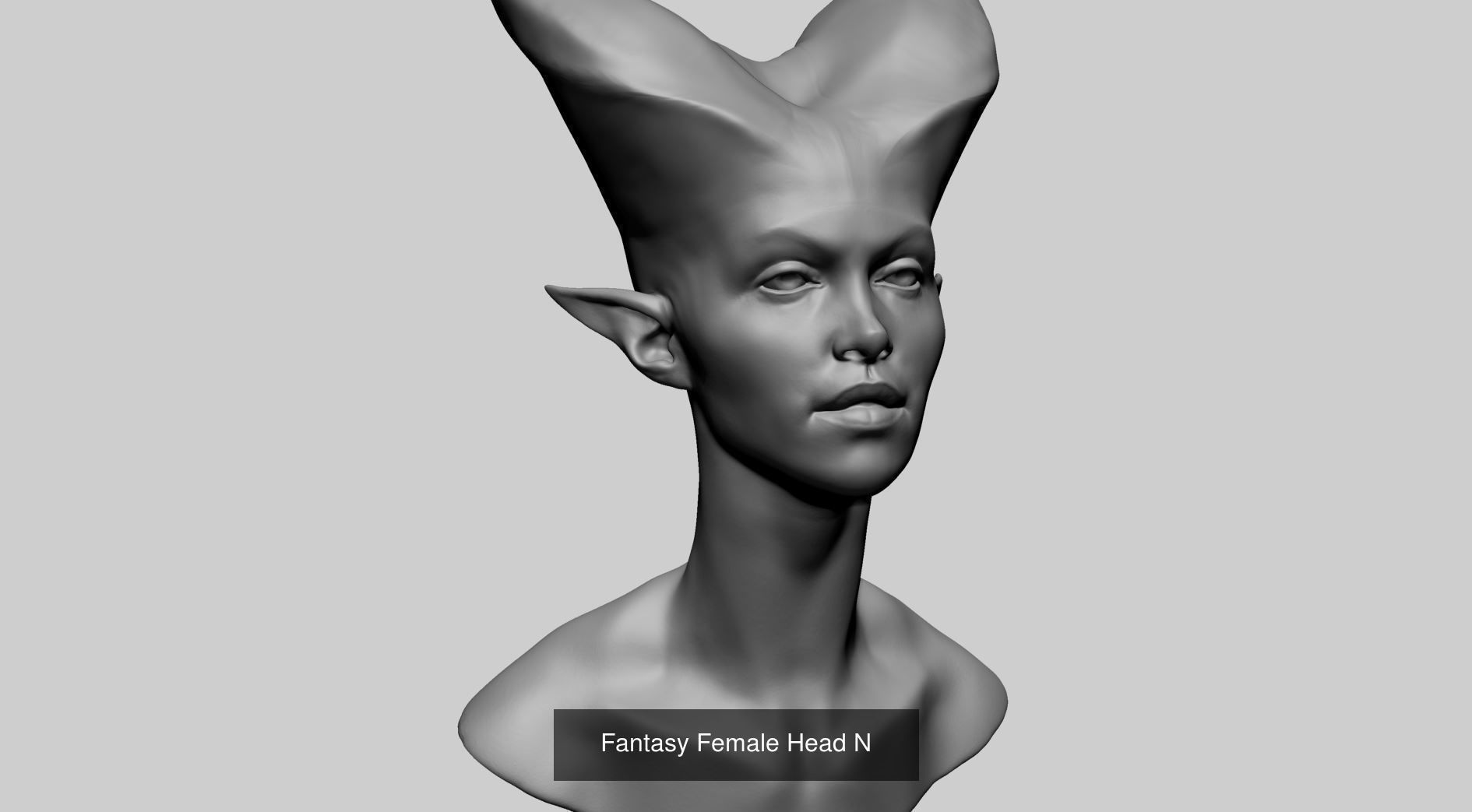 20 Head Models 3D Model Collection_19