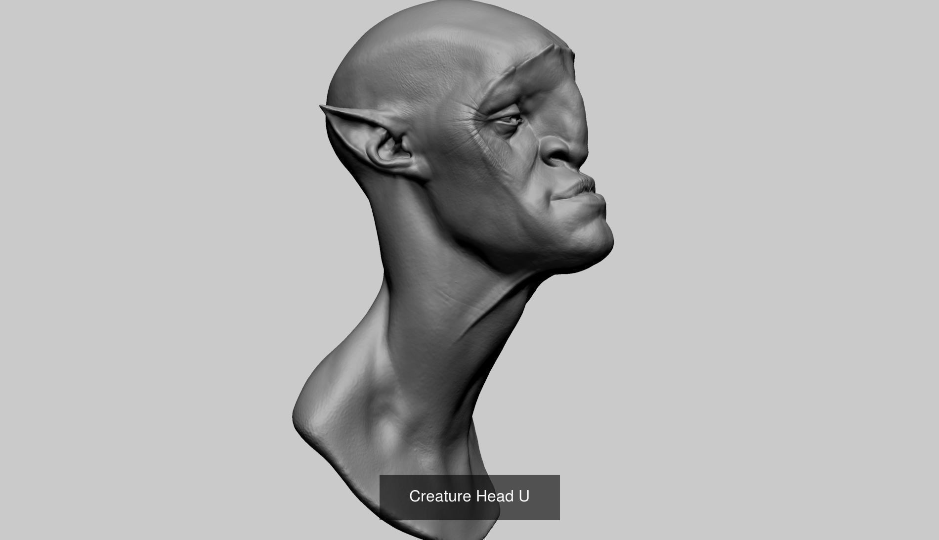 20 Head Models 3D Model Collection_5