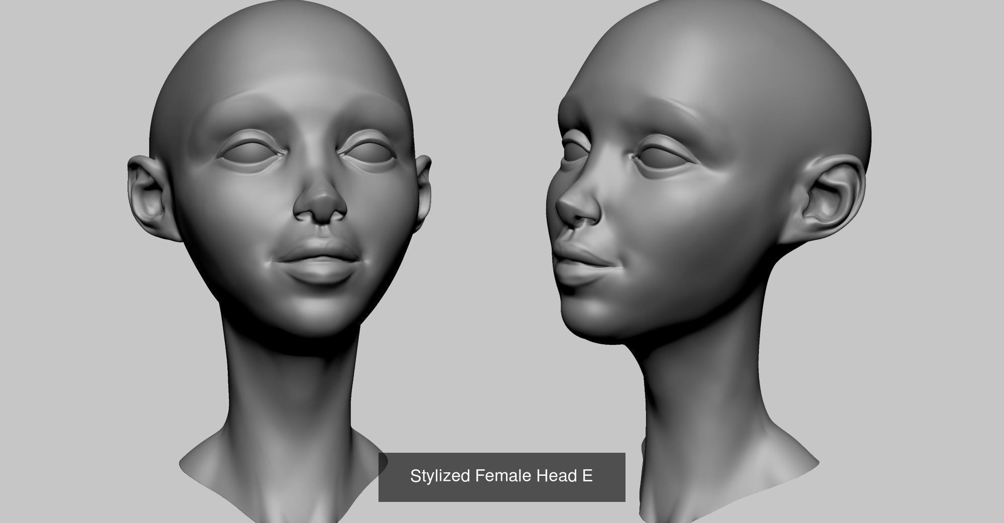 20 Head Models 3D Model Collection_13