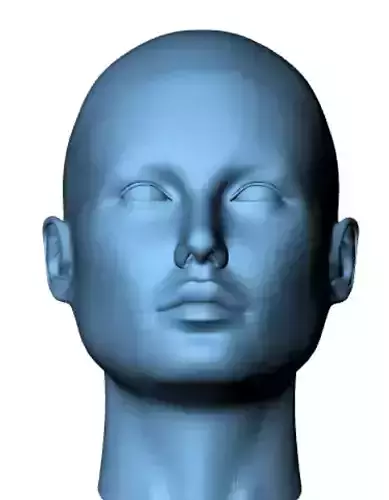 Woman head 3D