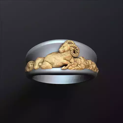 Zodiac Horoscope Aries Ring