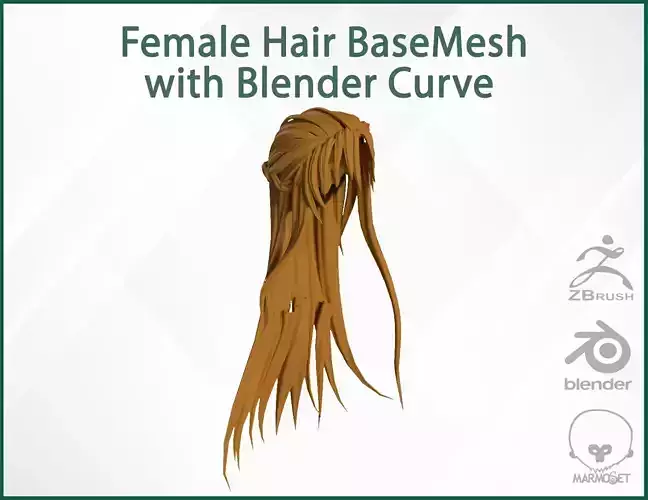 Female Hair Base Mesh with blender curve 3D model