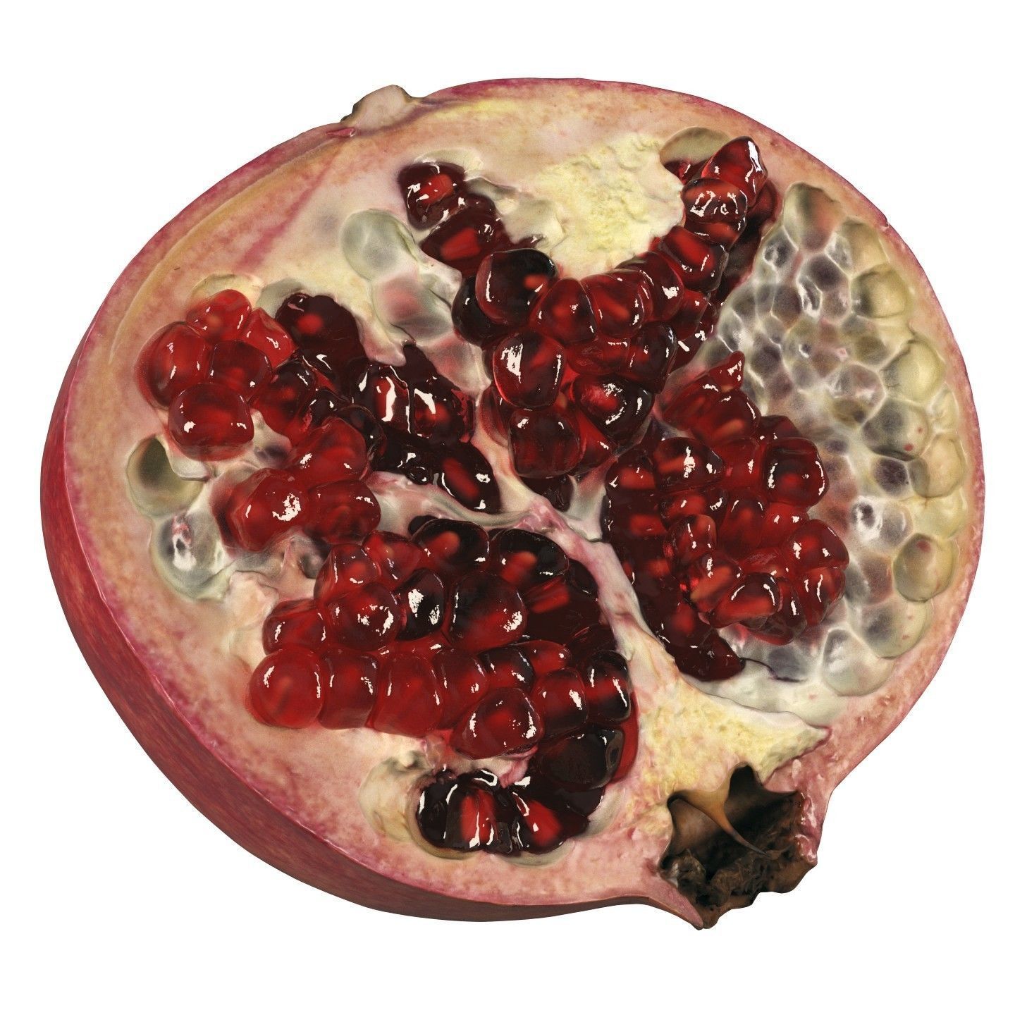 4k scanned Pomegranate 02 3D model_4